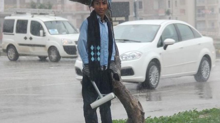 Yaşıtları Okulda, Onlar Yağmur Altında Ekmek Derdinde