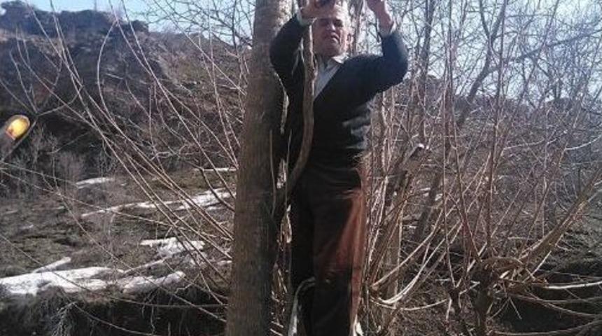 K&ouml;ylerde Ağa&ccedil;lar Budanmaya Başlandı