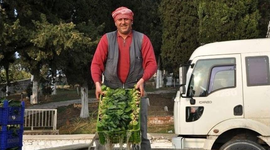 Aliağa&rsquo;da Organik Tarıma Destek