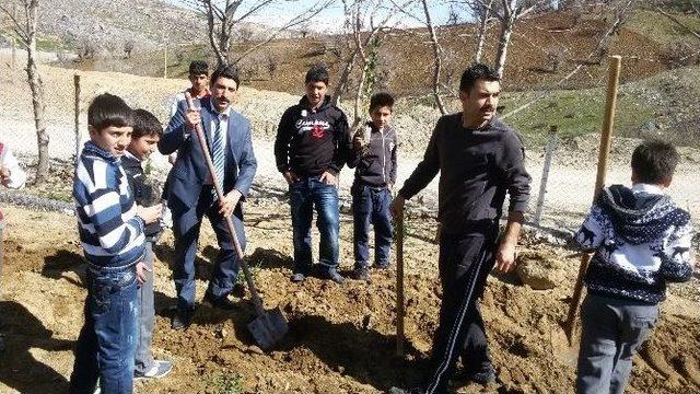 Sincik İlçesinde “okullar Hayat Olsun” Projesi