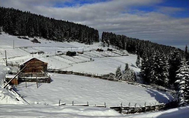 Karadeniz, Araplar İ&ccedil;in Davos 1