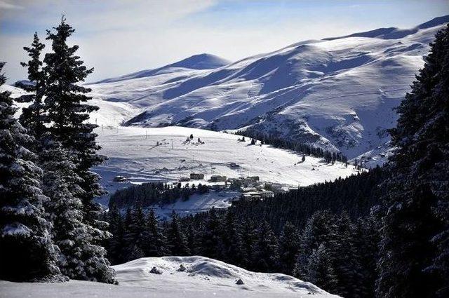 Karadeniz, Araplar İ&ccedil;in Davos 2