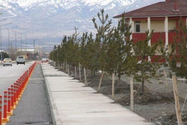 Erzincan Belediyesi Baharın İlk G&uuml;nlerinde Ağa&ccedil; Dikimlerine Başladı 1