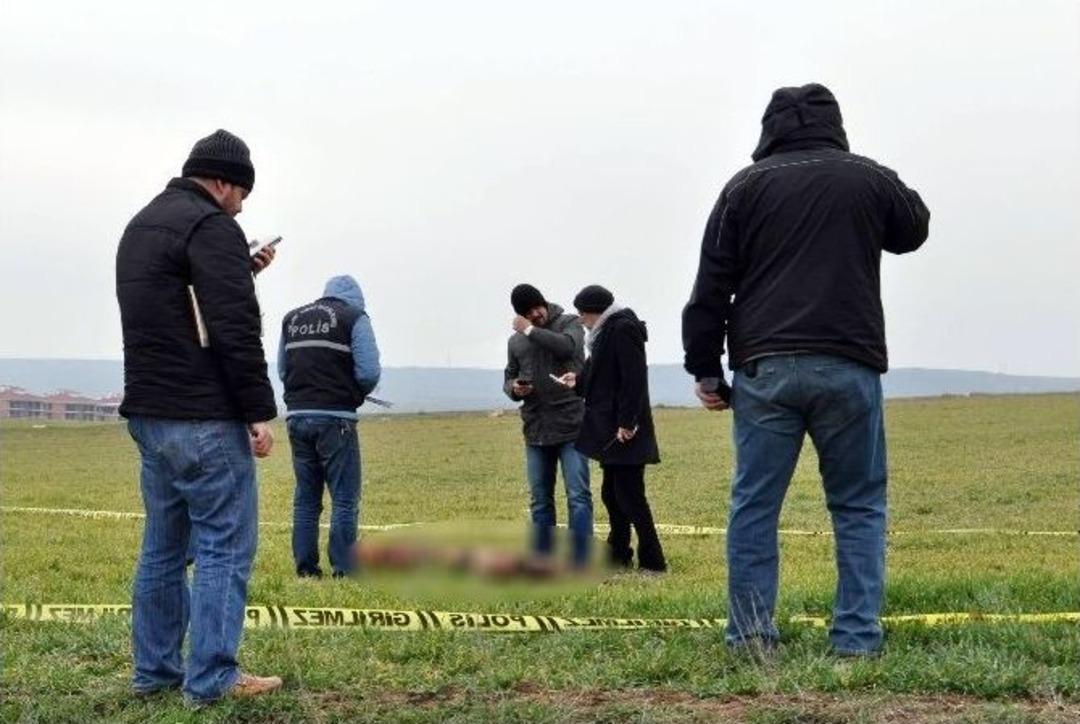 Sevdiği K&ouml;pekler Gen&ccedil; Kadının Sonu Oldu