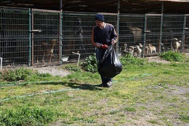 Aliağa’da Hayvan Barınaklarına Bahar Temizliği