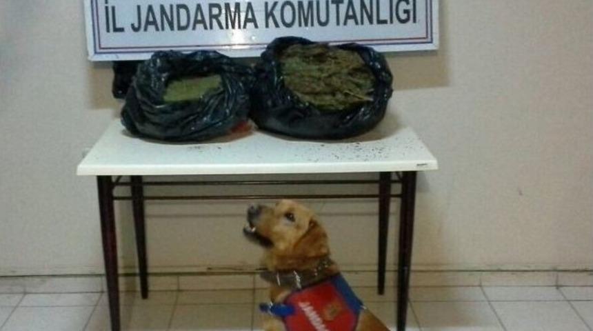 Elazığ&rsquo;da 12 Kilogram Esrar Ele Ge&ccedil;irdi