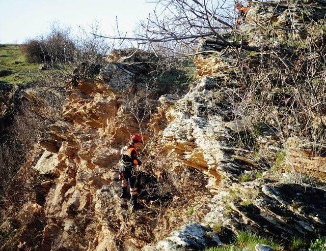 Afad’dan Keçi Kurtarma Operasyonu