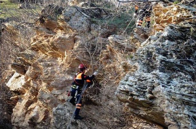 Afad’dan Keçi Kurtarma Operasyonu