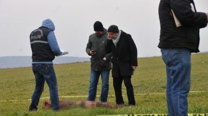 Doktor &Ccedil;iftin Kızı Erin&ccedil; P&uuml;t&uuml;n'&uuml; Sokak K&ouml;pekleri Par&ccedil;aladı