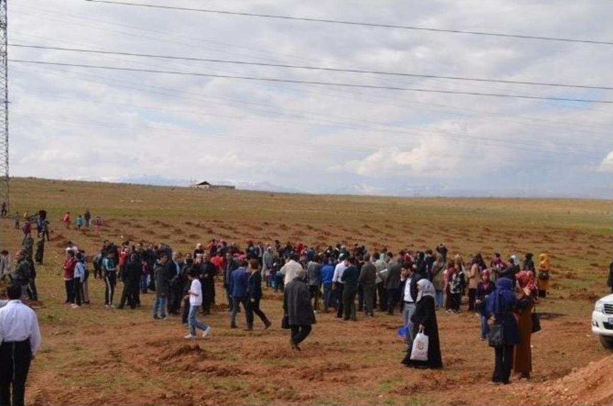 Sevgi Evleri Ve Yetiştirme Yurdunda Kalan &Ccedil;ocuklar Fidan Dikti