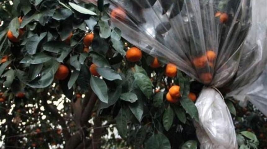 Vatandaş soğuktan b&ouml;yle korunuyor