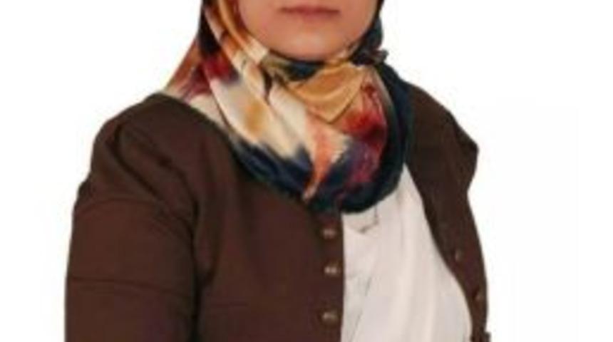 Arslan Se&ccedil;im &Ccedil;alışmalarına Devam Ediyor