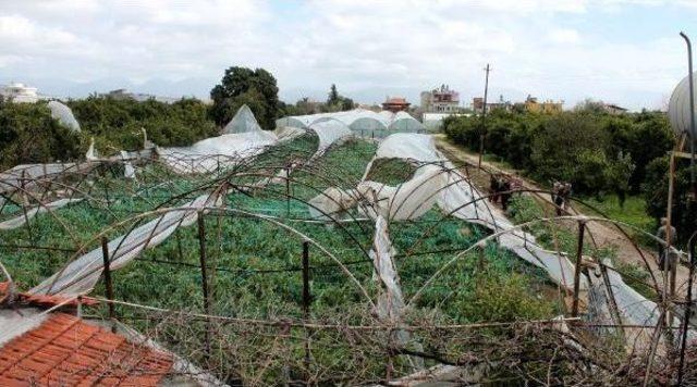 Şiddetli R&uuml;zgar Ağacı Devirdi (2) 2