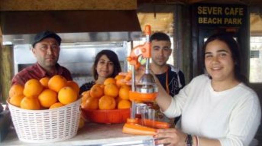 Finike&rsquo;de, Portakal Ve Portakal Suyu Bulundurma Zorunluluğu