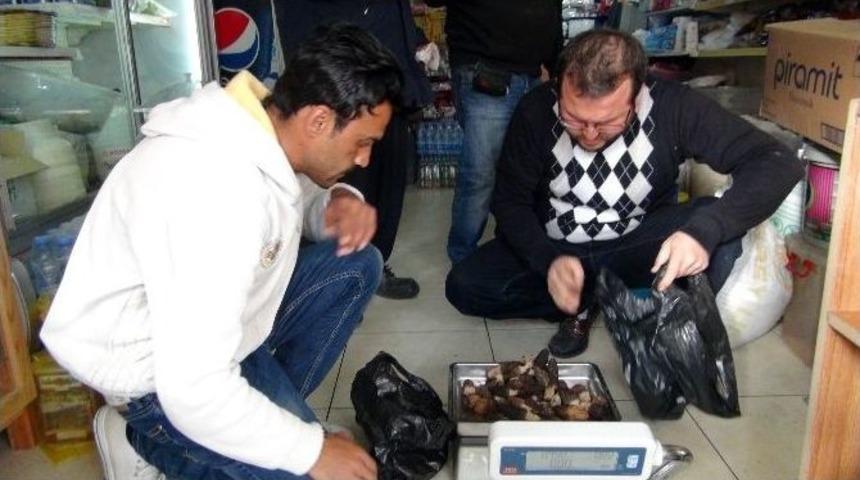 (&ouml;zel Haber) Kuzug&ouml;beği Mantarının Kurusu 600, Yaşı 100 Lira