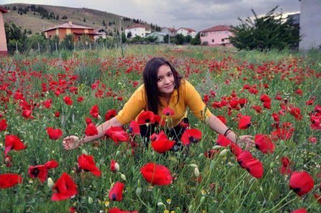 Prof.dr. Akbaba: İlkbaharla Birlikte Hasta Olmayın 2