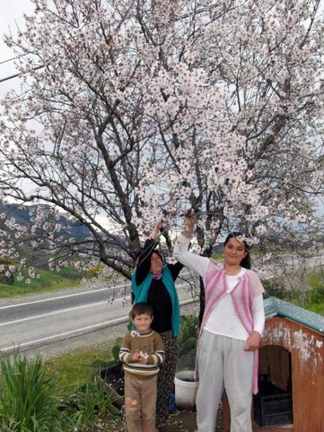 Prof.dr. Akbaba: İlkbaharla Birlikte Hasta Olmayın 3