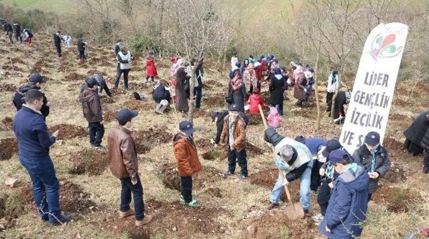 &Ccedil;ekud 2 Bin Fidan Dikti