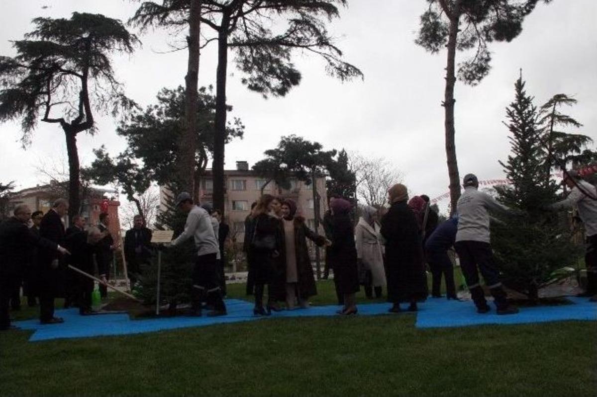 Cumhurbaşkanı Erdoğan, Fidan Dikti