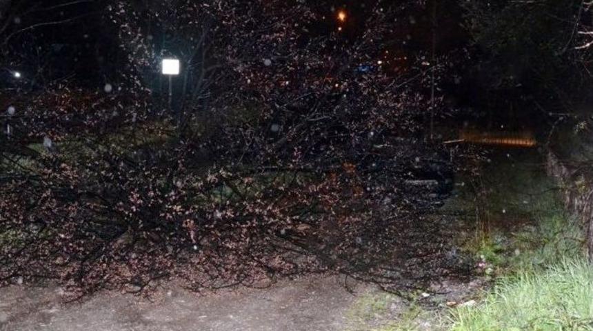 Sakarya&rsquo;da Yoldan &Ccedil;ıkan Otomobil Takla Attı: 5 Yaralı