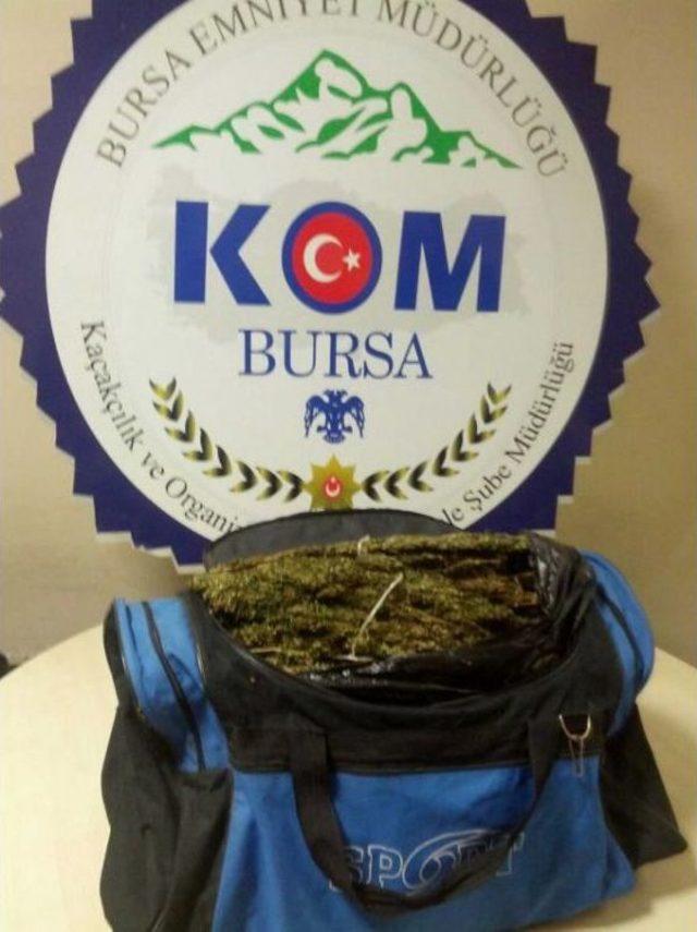 Bursa'da Esrar Operasyonu