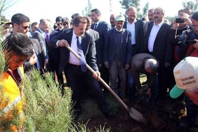 Bakan &Ccedil;elik Ağa&ccedil; Dikimi T&ouml;renine Katıldı 1