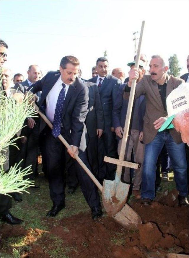 Bakan &Ccedil;elik Ağa&ccedil; Dikimi T&ouml;renine Katıldı 2