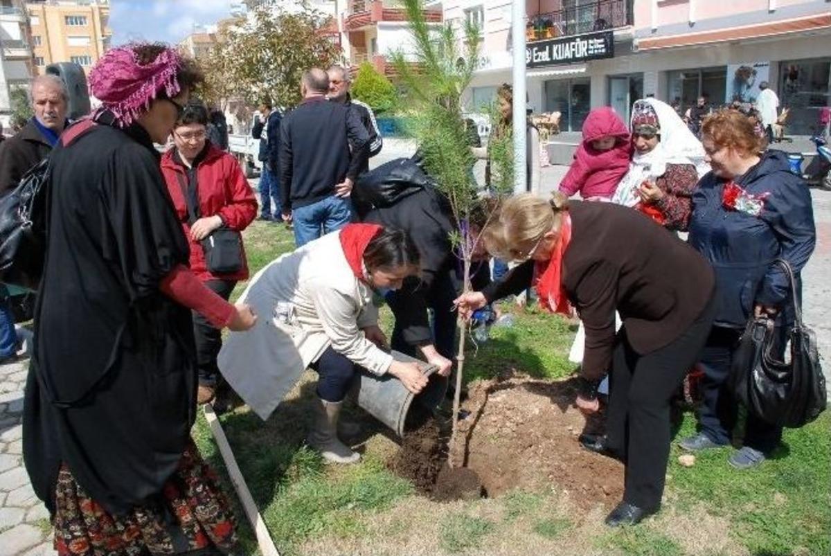 Uluslararası 2015 D&uuml;nya Kadınları Didim&rsquo;deydi