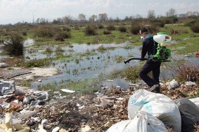 Efeler Belediyesi Sağlık İşleri İlaçlama Kadrosunu Genişletiyor