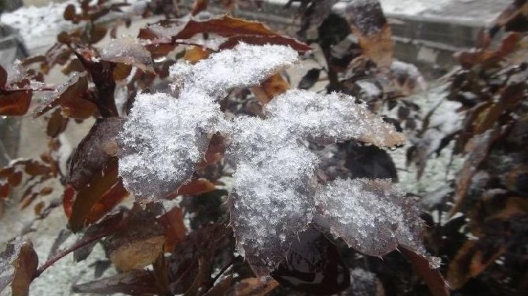 Tatvan&rsquo;da Kar Yağışı