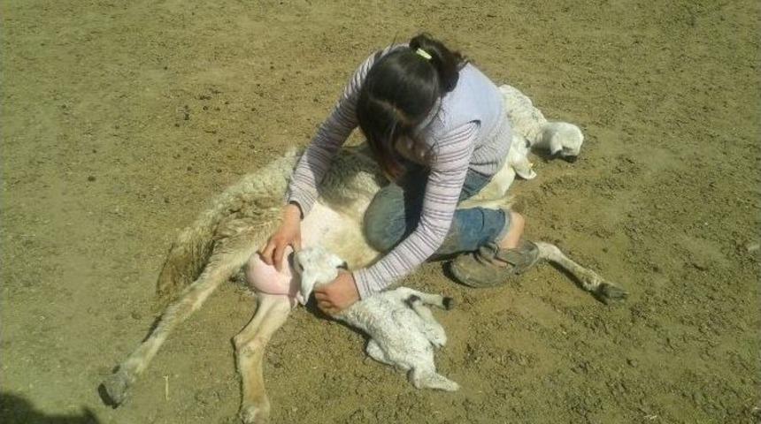 Sultan Sazlığında Bahar Heyecanı