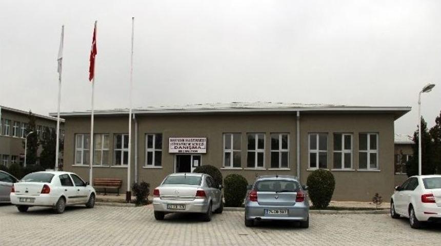 T&uuml;rkiye&rsquo;nin İlk Hayvan Hastanesi B&ouml;lgeye Hizmete Veriyor