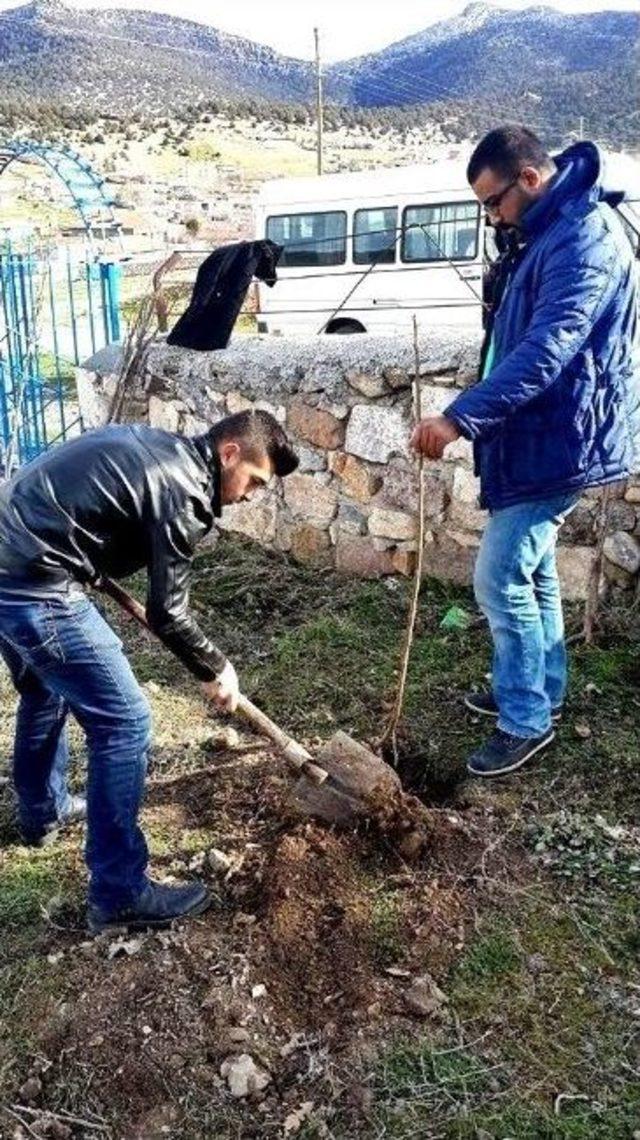 Emirdağ Belediyesi Şehit Binbaşı Dr. Numan Bey Şehitliğinde Bakım &Ccedil;alışması Başlattı 1