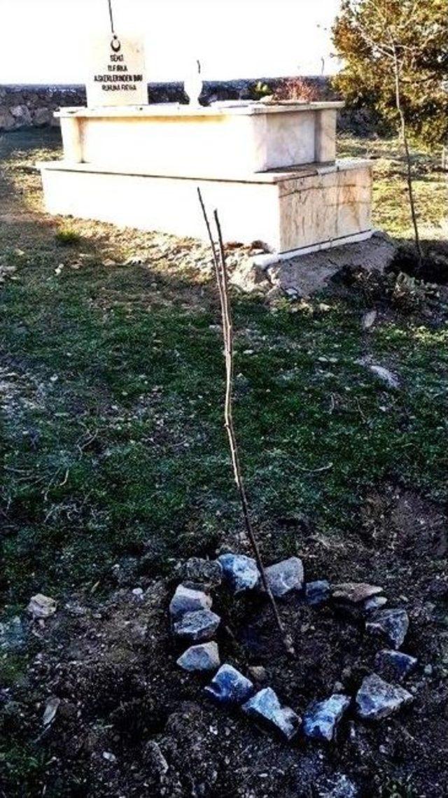 Emirdağ Belediyesi Şehit Binbaşı Dr. Numan Bey Şehitliğinde Bakım &Ccedil;alışması Başlattı 2