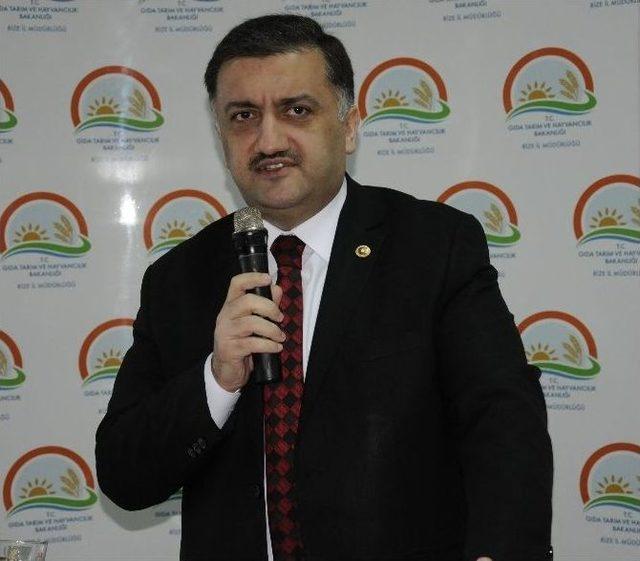 Ak Parti Rize Milletvekili Hasan Karal “rize Balı Dünya Markası Olacak”