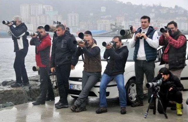 Rize'de Kuş Gözlem Alanına Iş Makineleri Girdi