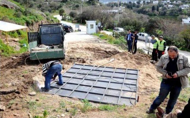 Bodrum Sualtı Arkeoloji Müzesi Müdürü'ne 'ışid Zihniyeti' Eleştirisi