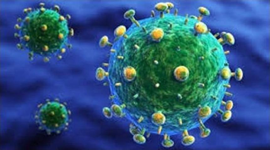 Tedavi Edilmeyen Genital Siğil(hpv), Kansere Yol A&ccedil;abilir