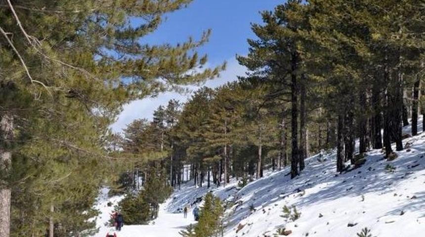 Dat&ccedil;a'dan K&ouml;yceğiz'e Baharda 'kar Y&uuml;r&uuml;y&uuml;ş&uuml;'