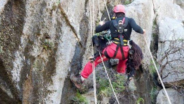Akut tan Ke&ccedil;i Kurtarma Operasyonu 3