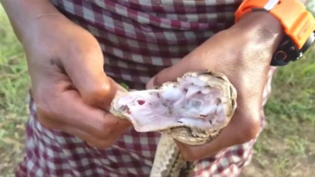 Balık tutmak isterken yakaladıkları şok etti 