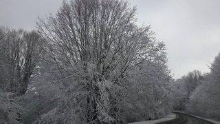 Ordu’da Mart Karı Yağdı