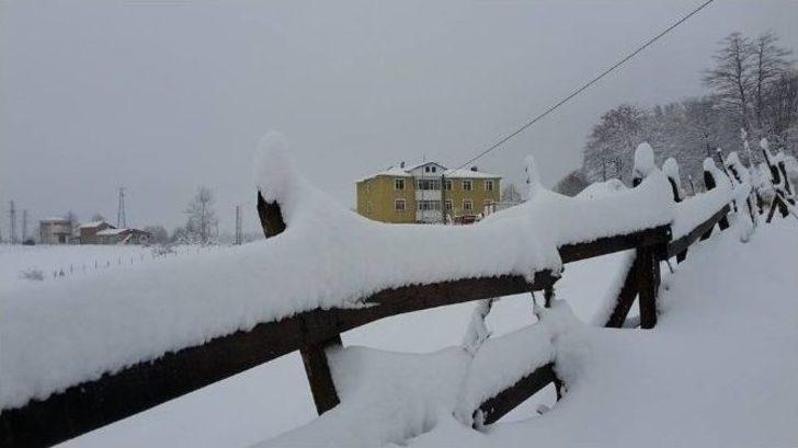 Ordu’da Mart Karı Yağdı G3