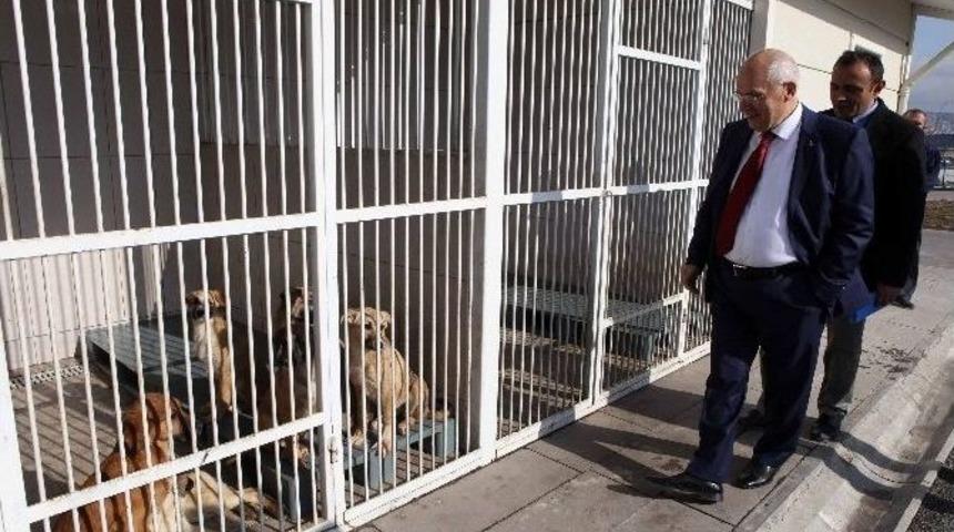 Başkan Yaşar&rsquo;dan Sevimli Dostlara Ziyaret