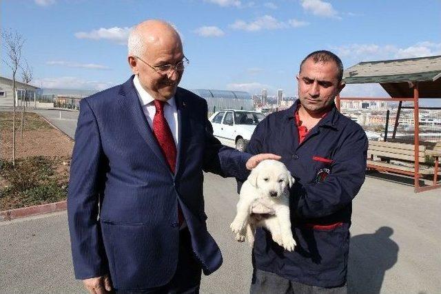 Başkan Yaşar’dan Sevimli Dostlara Ziyaret