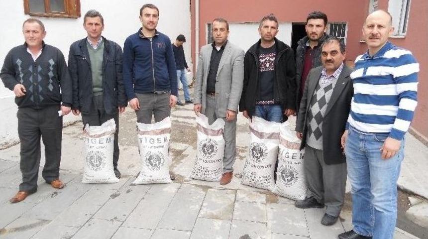 Niksar&rsquo;da &Ccedil;ift&ccedil;ilere Nohut Tohumu Dağıtıldı