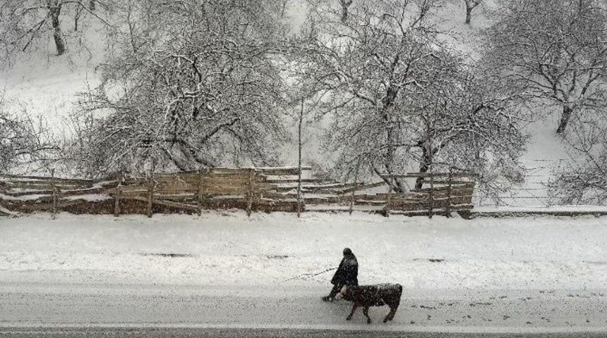 “yeşilyurt’ta Kış” Yarışması Sonuçlandı