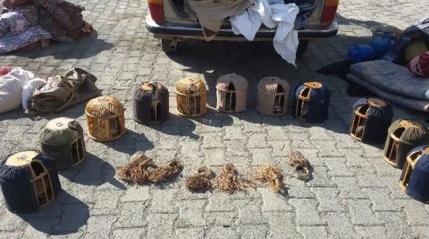 Iğdır&rsquo;da Yabani Hayvan Ve Bitki T&uuml;rlerinin Uluslararası Ticaretine Ge&ccedil;iş Yok