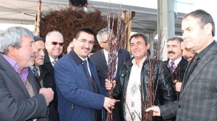 Vali Kılı&ccedil;, &Uuml;reticilere Elma Fidanı Dağıttı
