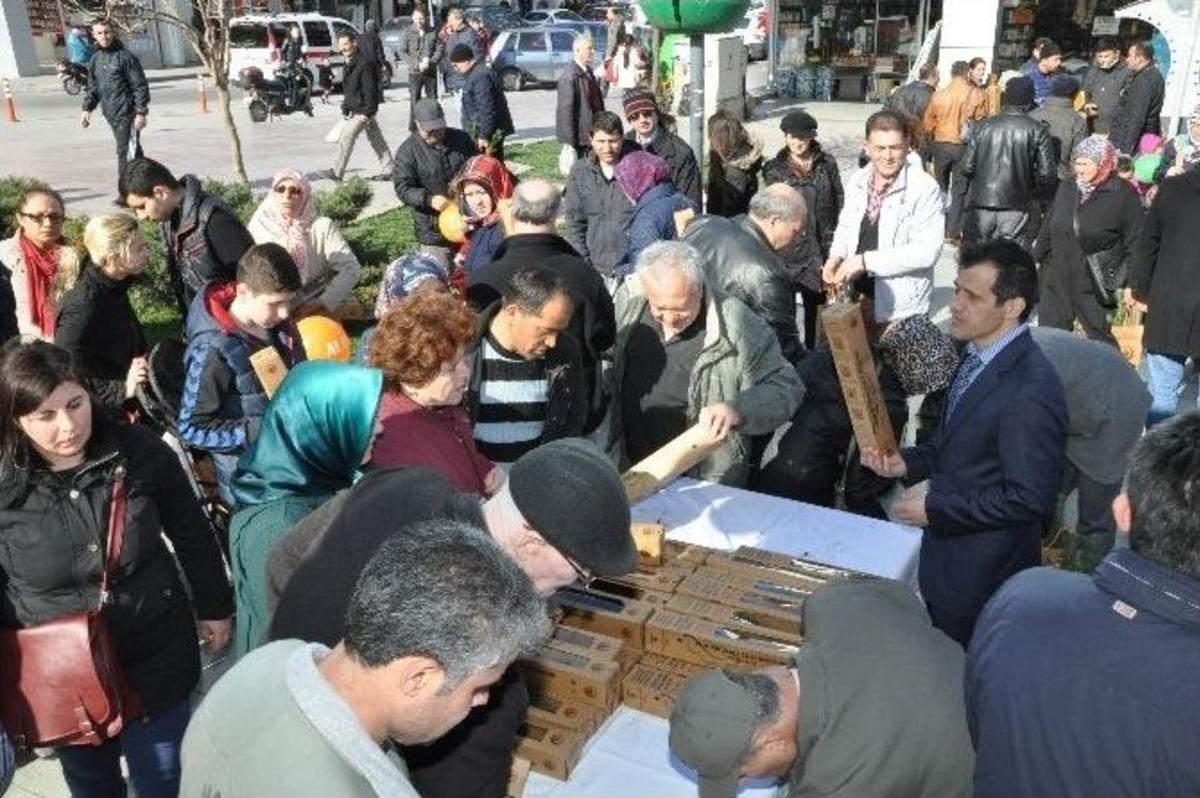 Balıkesir&rsquo;de Bin 500 &Ccedil;am Fidanı Dağıtıldı